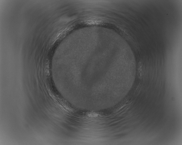 X0000076350547200610201803