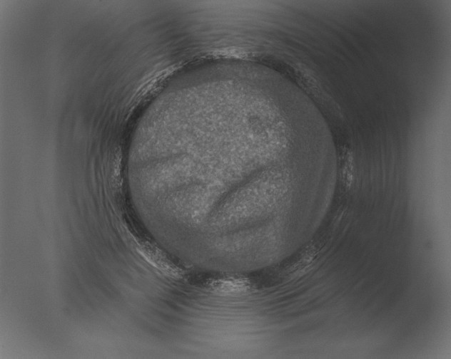 X0000076350548200610201803