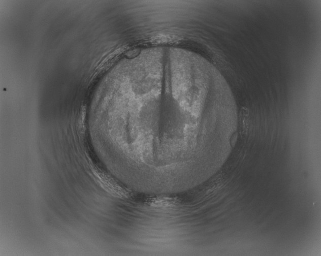 X0000076350550200610201803