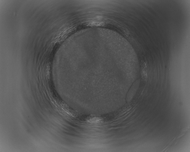 X0000076350551200610201803