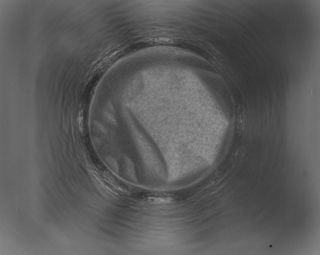 X0000076350552200610201803