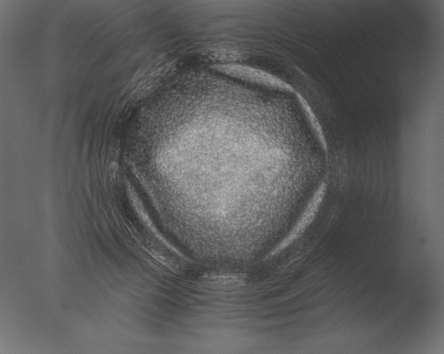 X0000076350553200610201803