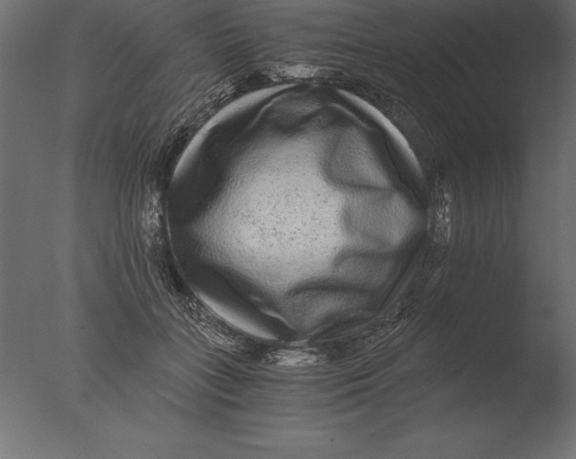 X0000076350555200610201803