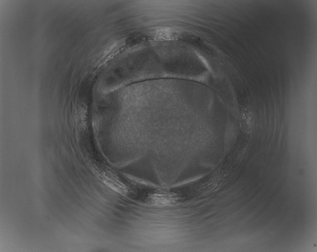 X0000076350556200610201803