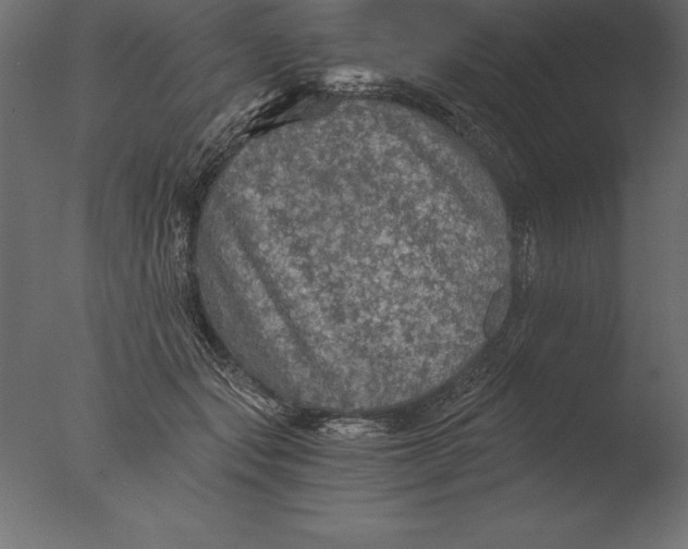 X0000076350557200610201803