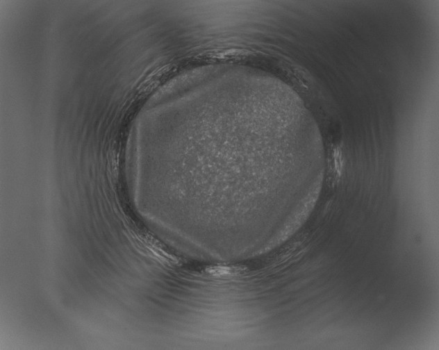 X0000076350558200610201803