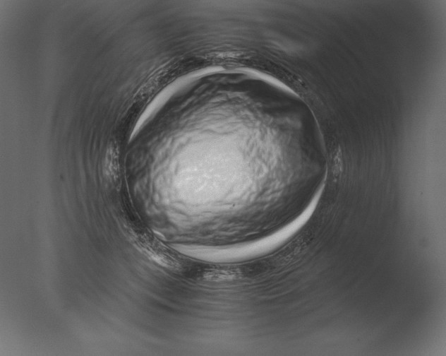 X0000076350559200610201803