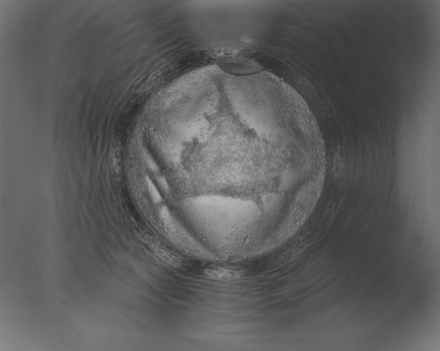 X0000076350561200610201803