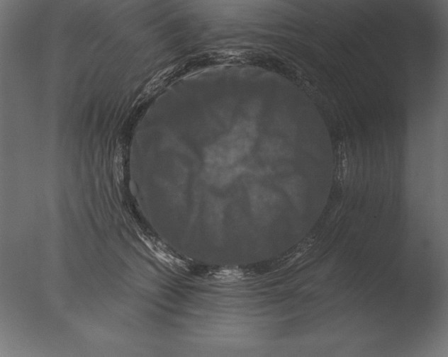 X0000076350562200610201803