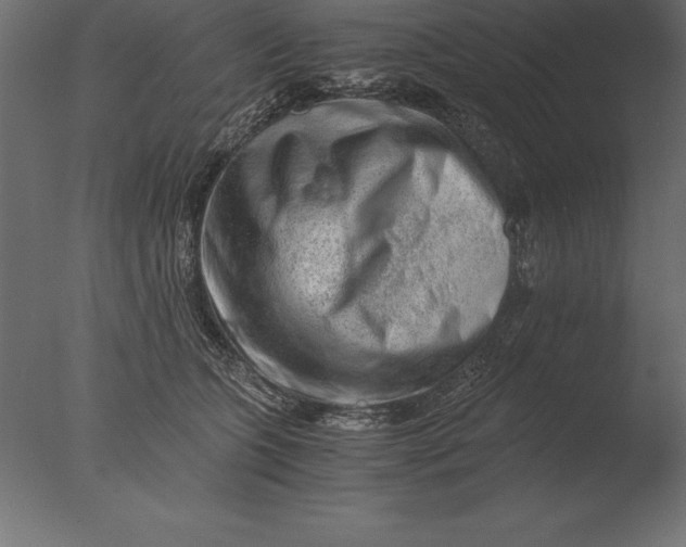 X0000076350563200610201803