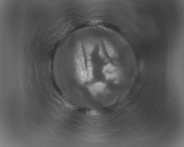 X0000076350565200610201803