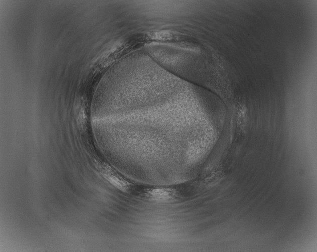 X0000076350566200610201803