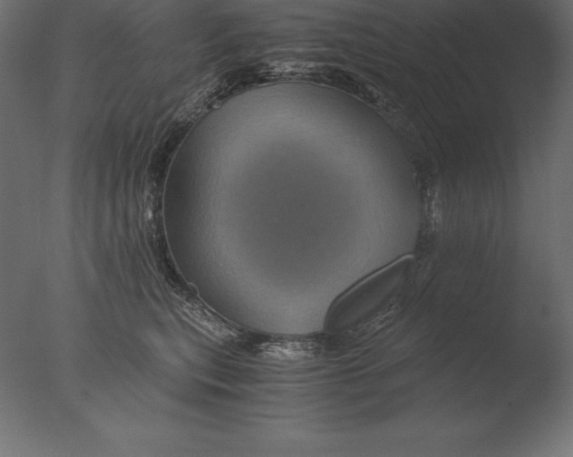 X0000076350567200610201803