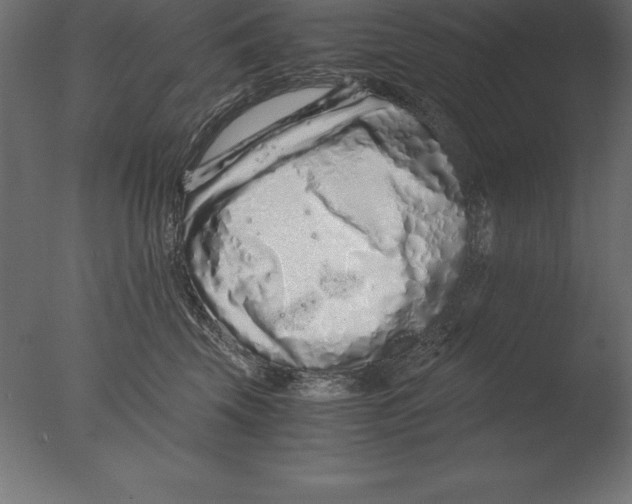 X0000076350569200610201803