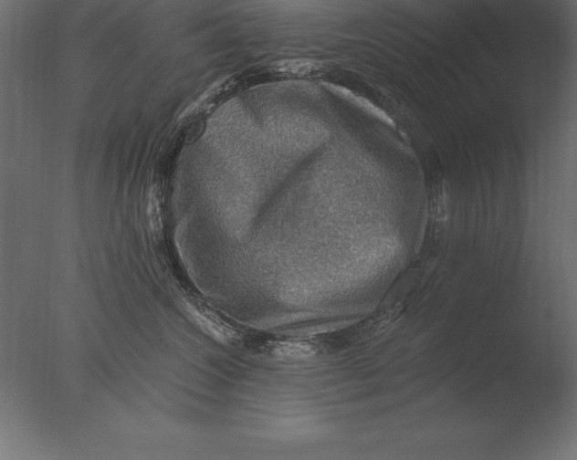 X0000076350572200610201803