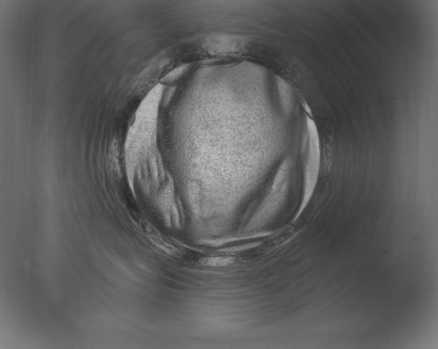 X0000076350575200610201803