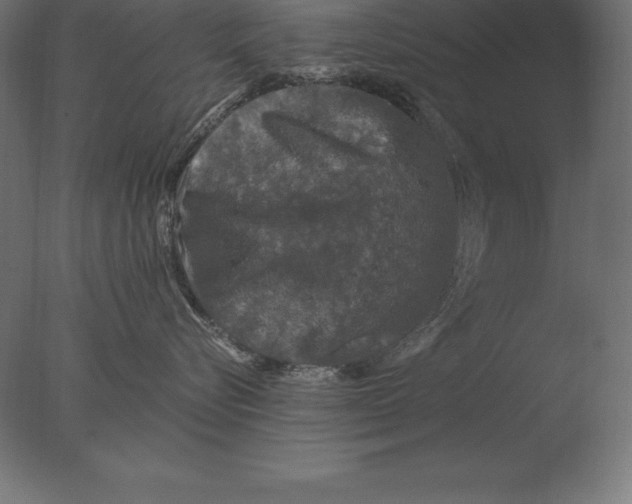 X0000076350576200610201803