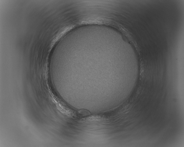 X0000076350578200610201802