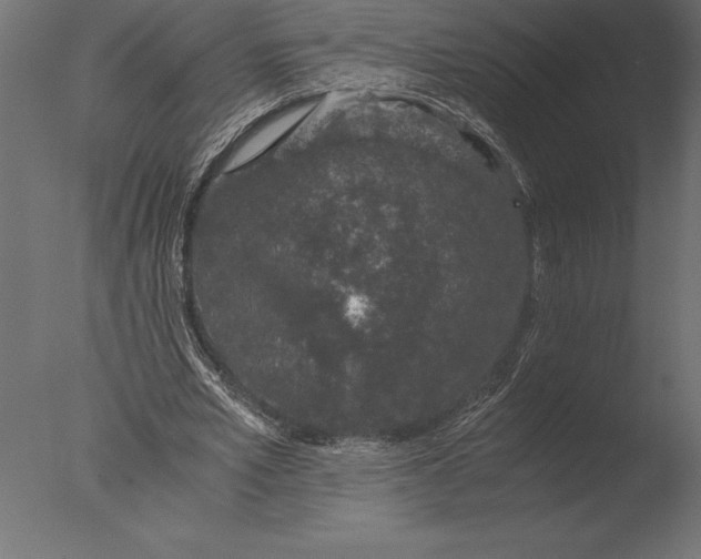 X0000076350581200610201802