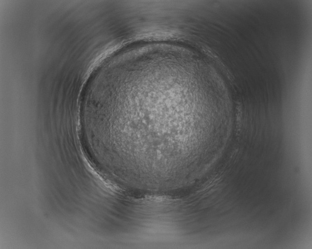 X0000076350582200610201802