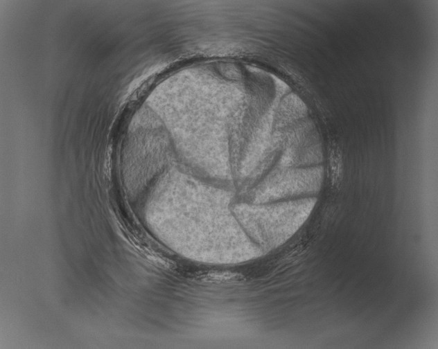 X0000076350583200610201802