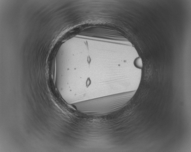 X0000076350584200610201802