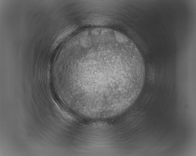 X0000076350586200610201802