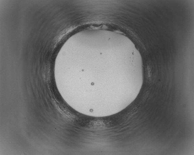 X0000076350588200610201802