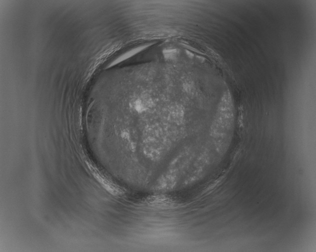 X0000076350589200610201802