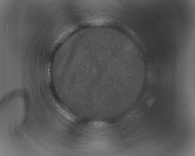 X0000076350590200610201802