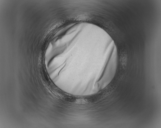 X0000076350591200610201802