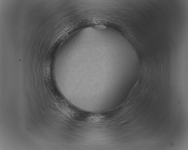 X0000076350595200610201802