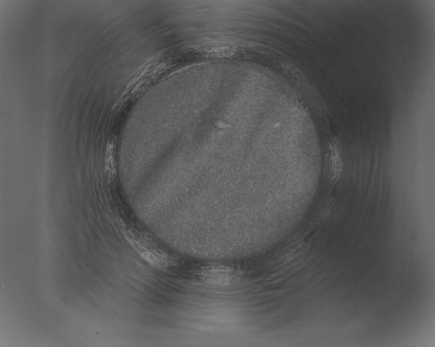 X0000076350598200610201802