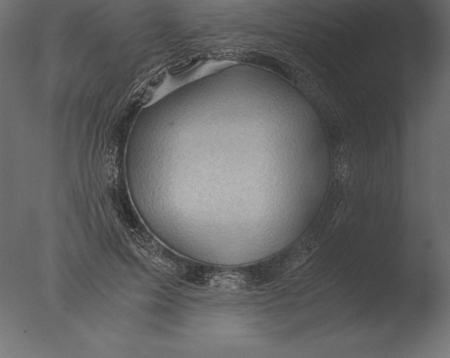 X0000076350599200610201802