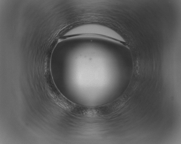 X0000076350600200610201802