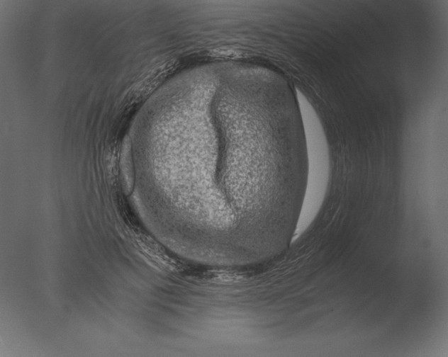 X0000076350601200610201802