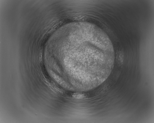 X0000076350602200610201802