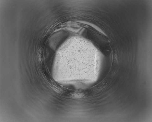 X0000076350604200610201802