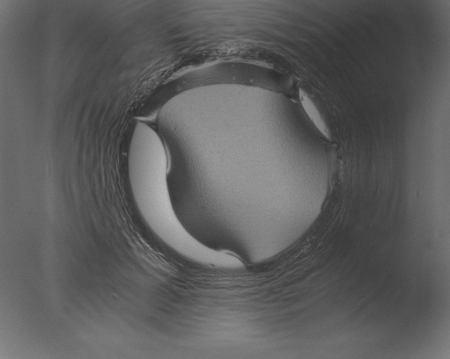 X0000076350605200610201802