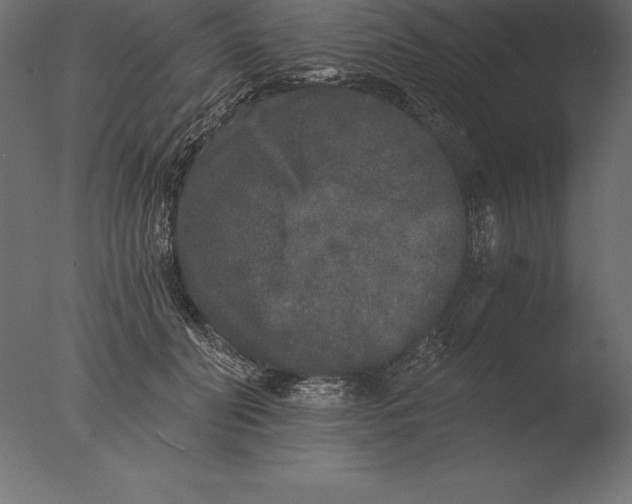 X0000076350606200610201802