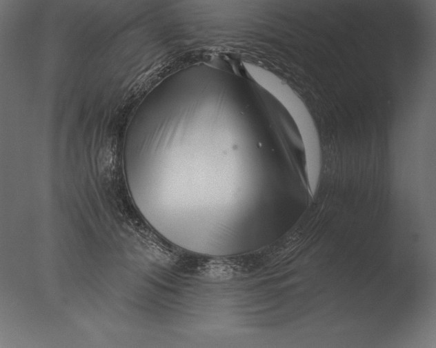 X0000076350608200610201802