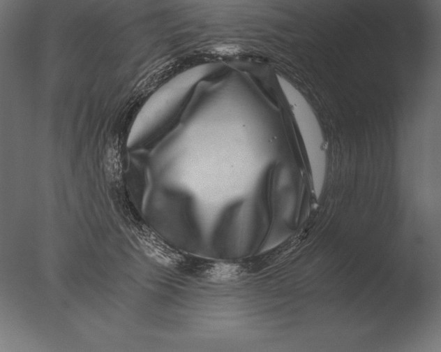 X0000076350609200610201802