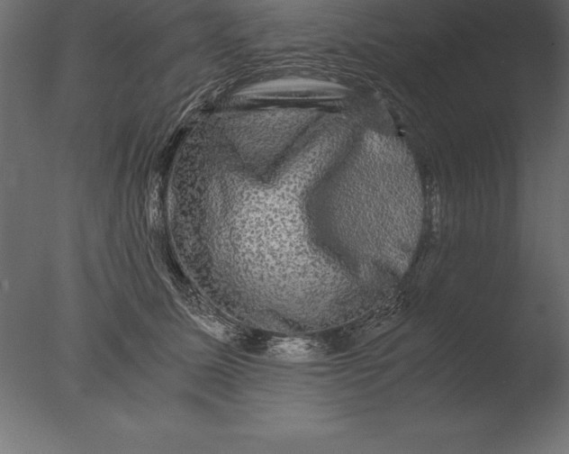 X0000076350611200610201802