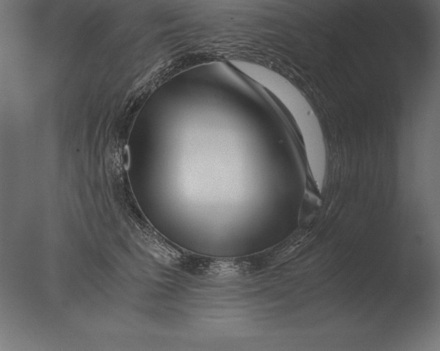 X0000076350613200610201802