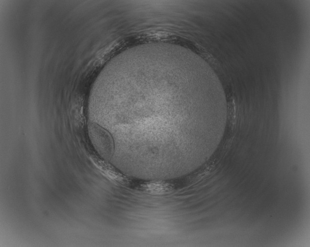 X0000076350615200610201802