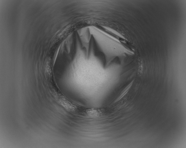 X0000076350616200610201802