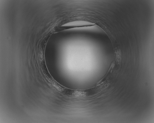 X0000076350617200610201802