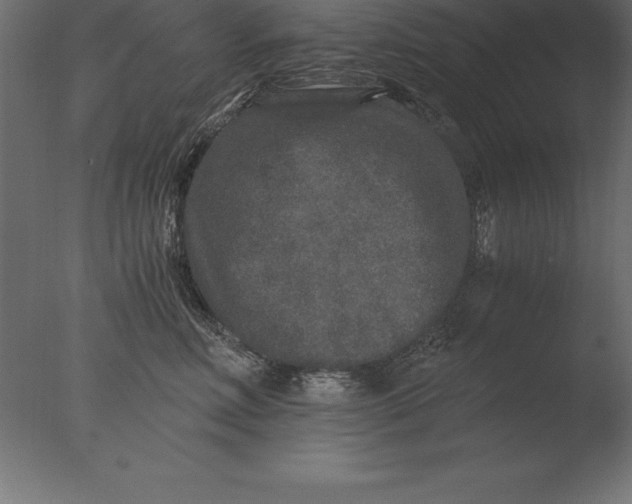 X0000076350618200610201802