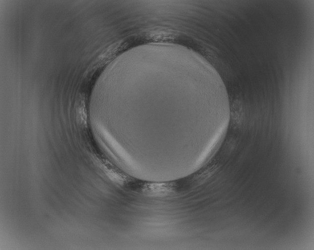 X0000076350622200610201802