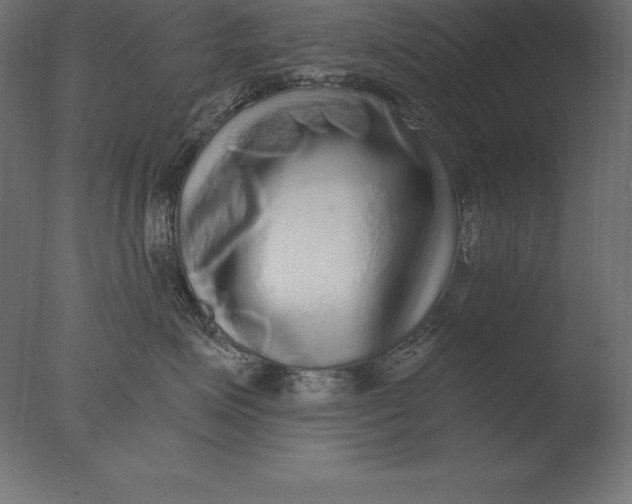 X0000076350623200610201802